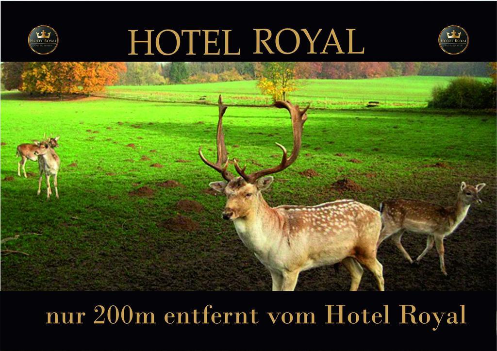 Hotel Royal Бад-Зальцуфлен Экстерьер фото